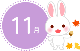 11月
